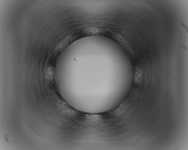 X0000101190476200807110949