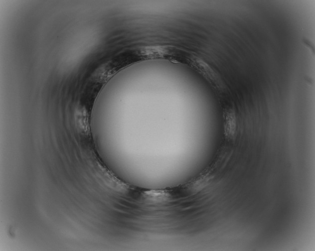 X0000101190477200807110949