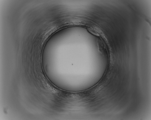 X0000101190481200807110948