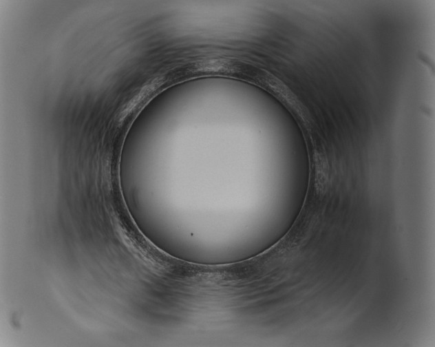 X0000101190482200807110948