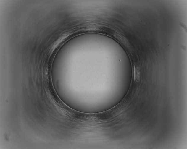X0000101190483200807110948
