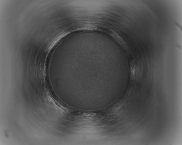 X0000101190484200807110948