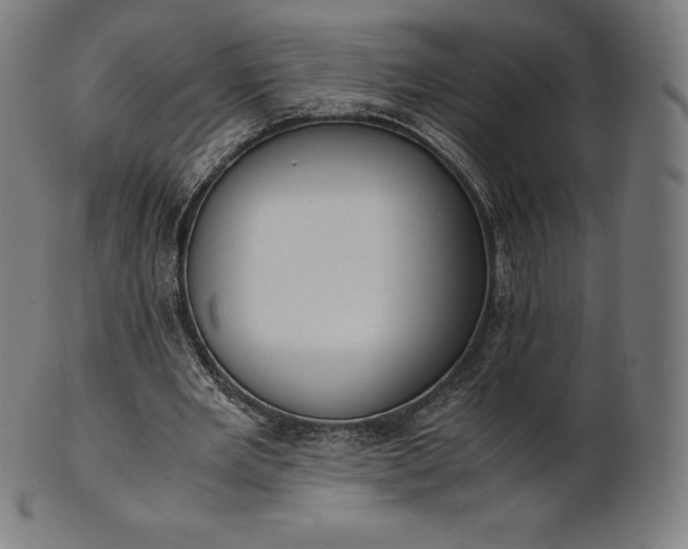 X0000101190485200807110948