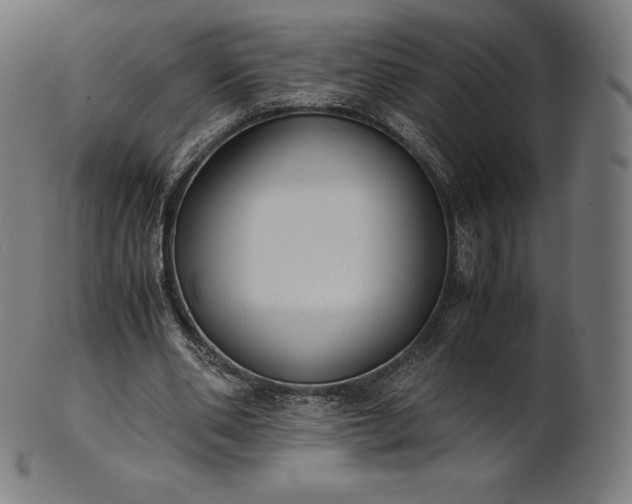 X0000101190486200807110948