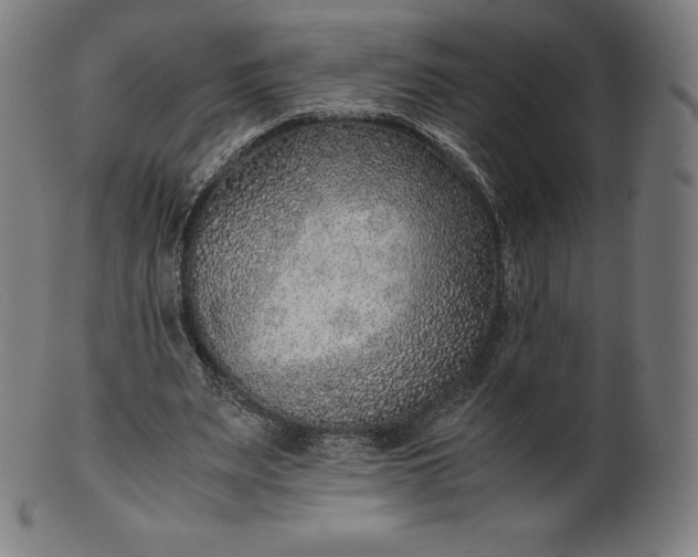 X0000101190487200807110948