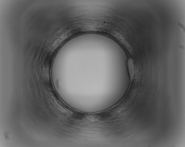 X0000101190489200807110948