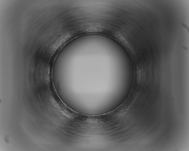 X0000101190490200807110948