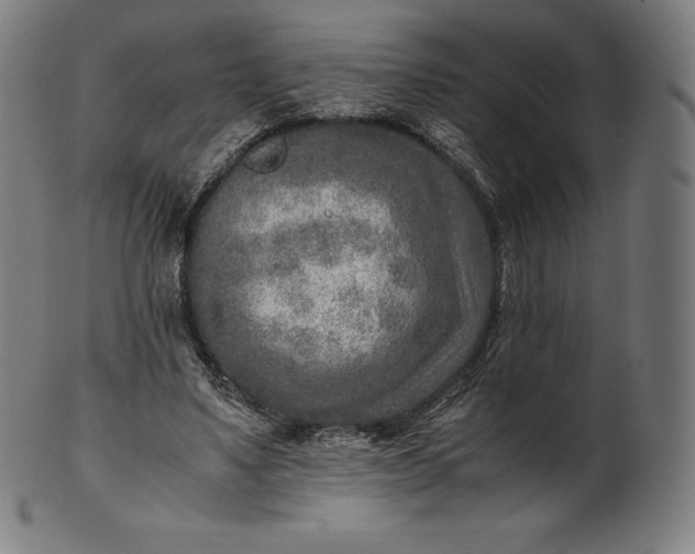 X0000101190491200807110948