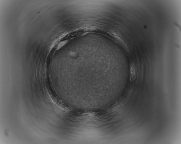 X0000101190492200807110948