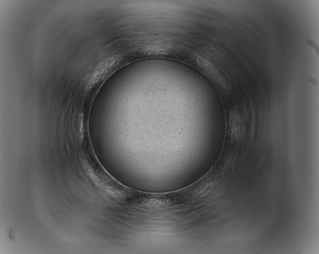 X0000101190494200807110948