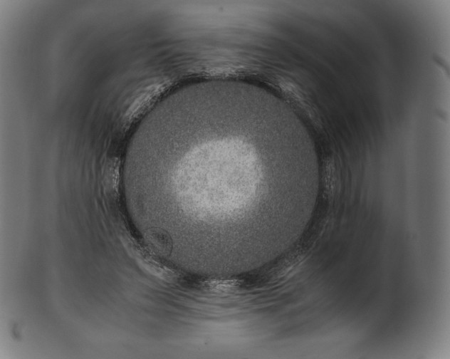 X0000101190495200807110948