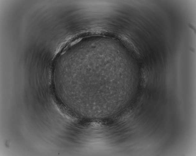 X0000101190496200807110948