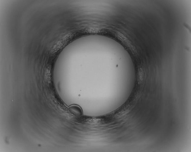 X0000101190497200807110948