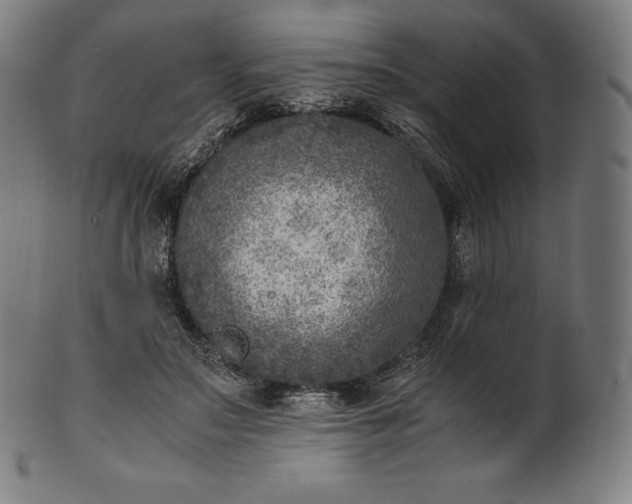 X0000101190499200807110948
