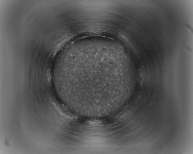 X0000101190500200807110948