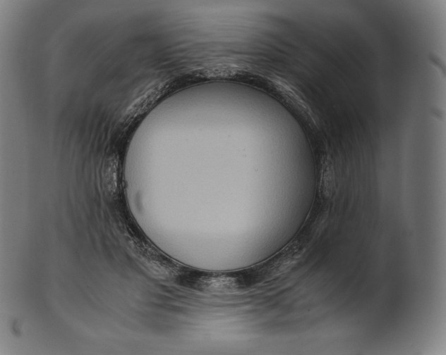 X0000101190501200807110948