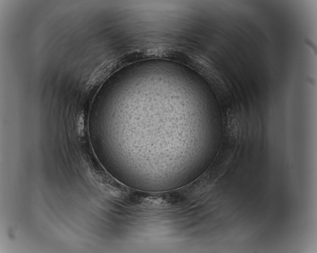 X0000101190502200807110948