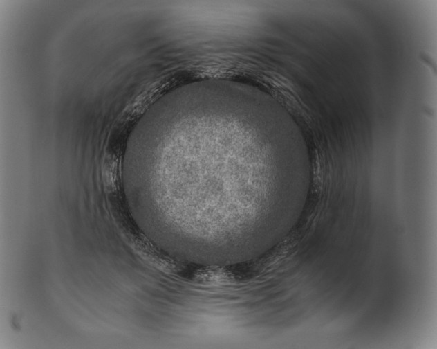 X0000101190503200807110948