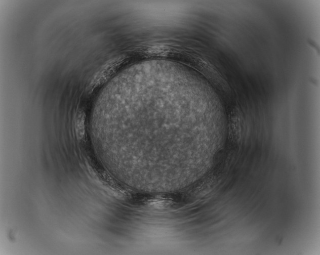 X0000101190504200807110948