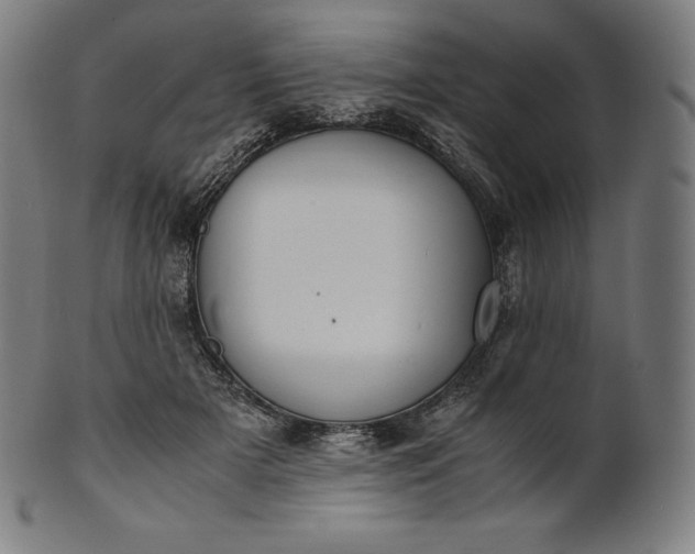 X0000101190505200807110948
