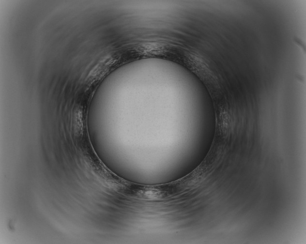X0000101190506200807110948