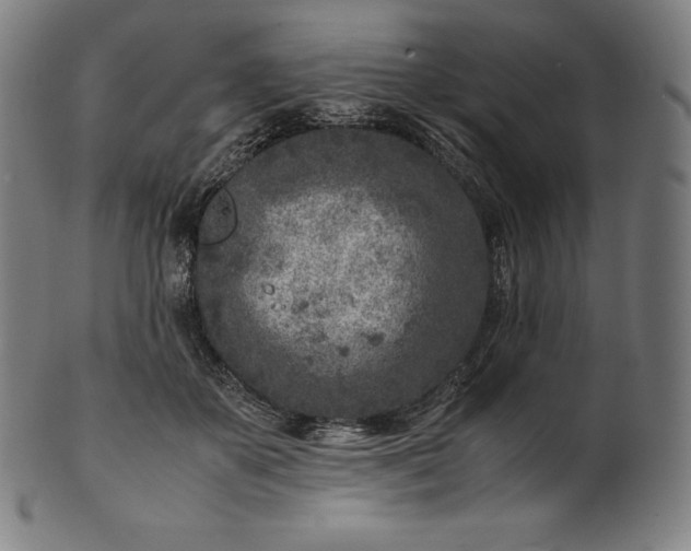 X0000101190507200807110948