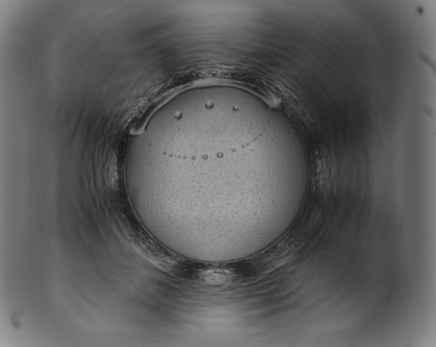 X0000101190508200807110948