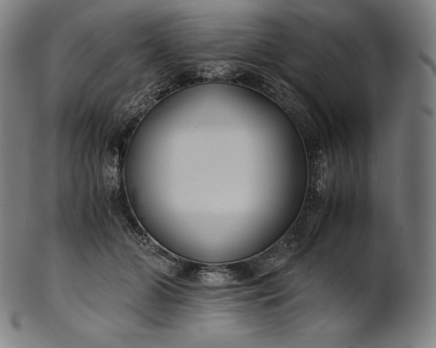 X0000101190510200807110948