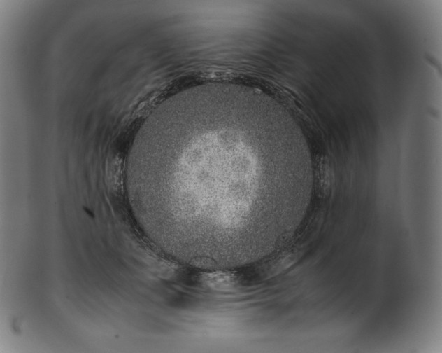 X0000101190511200807110948