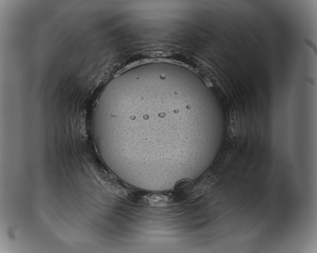 X0000101190512200807110948
