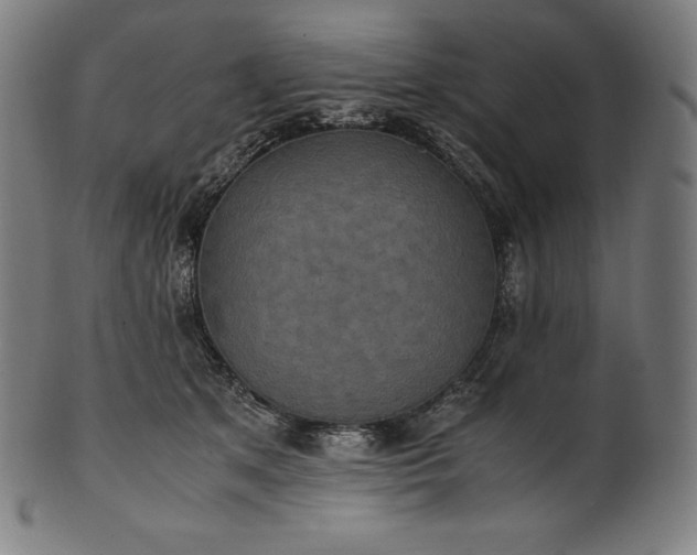 X0000101190513200807110947