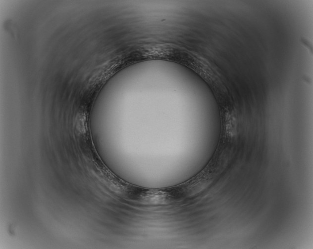 X0000101190514200807110947