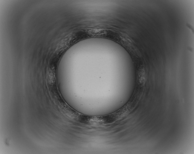X0000101190515200807110947