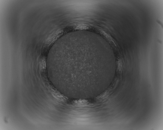 X0000101190517200807110947