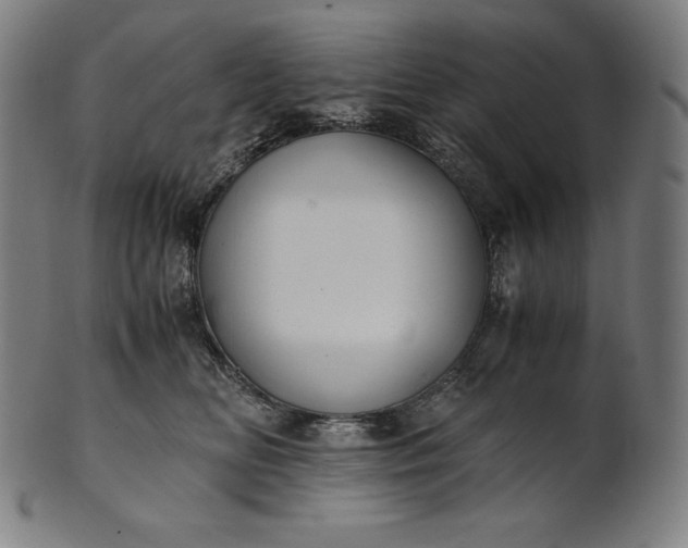 X0000101190518200807110947