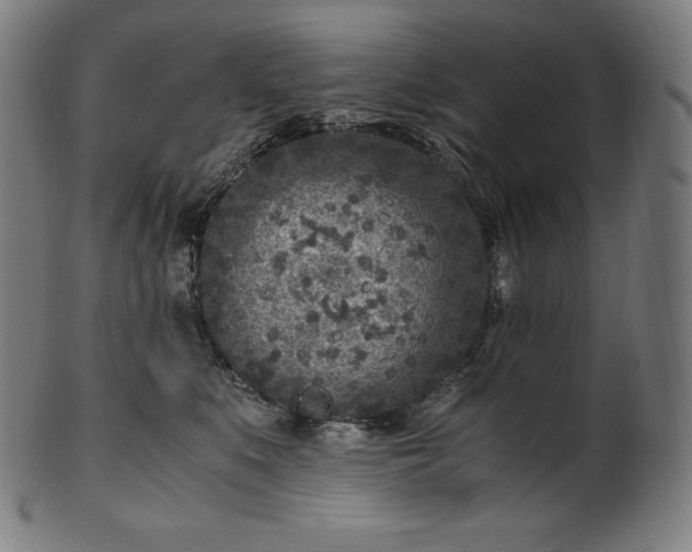 X0000101190519200807110947