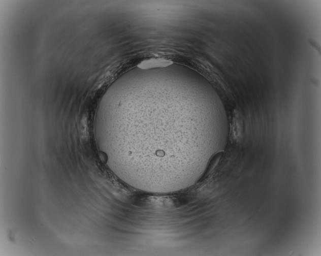 X0000101190520200807110947