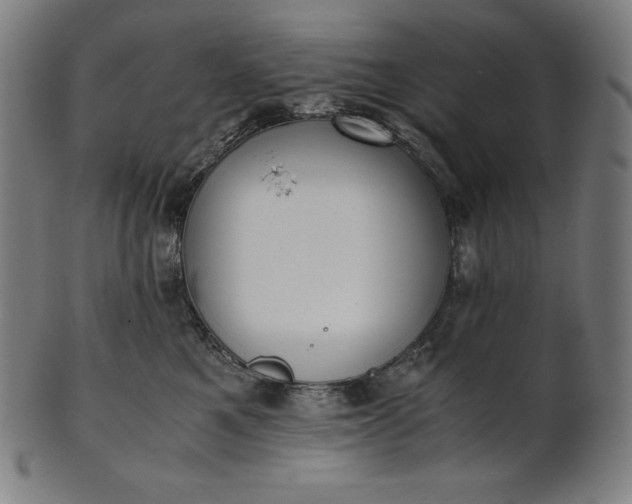 X0000101190521200807110947