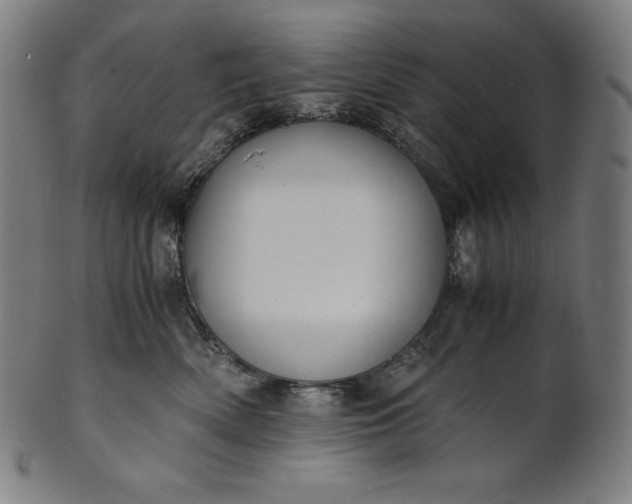 X0000101190522200807110947