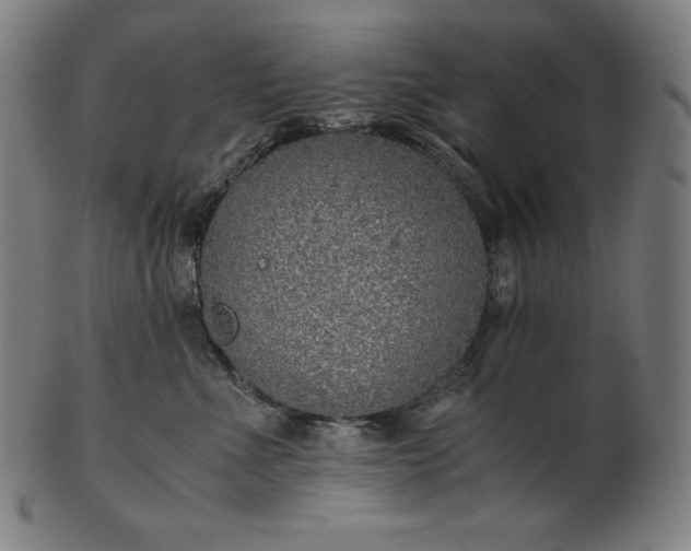 X0000101190523200807110947