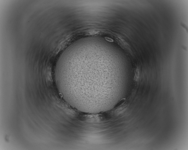 X0000101190524200807110947