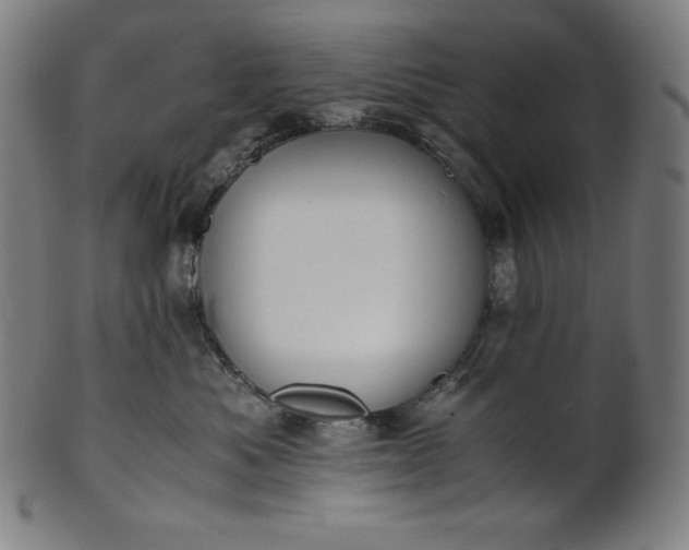 X0000101190525200807110947