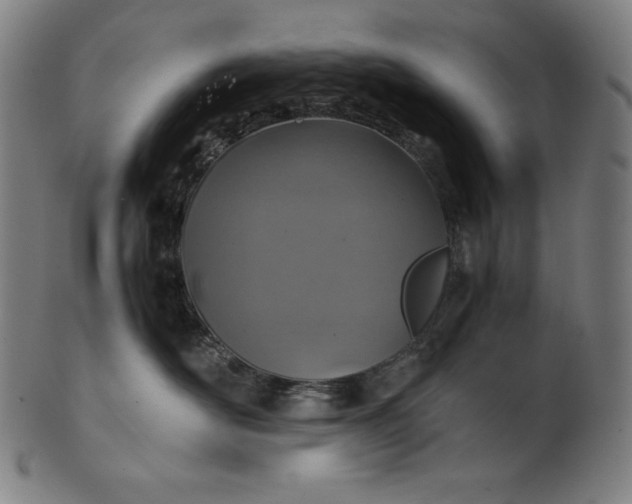 X0000101190526200807110947