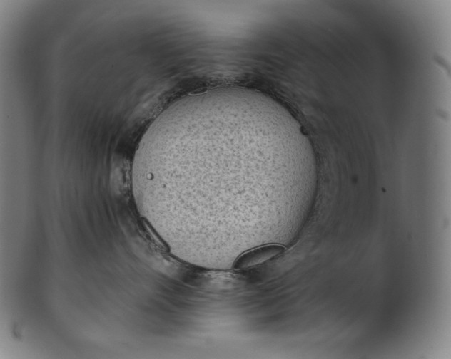 X0000101190528200807110947
