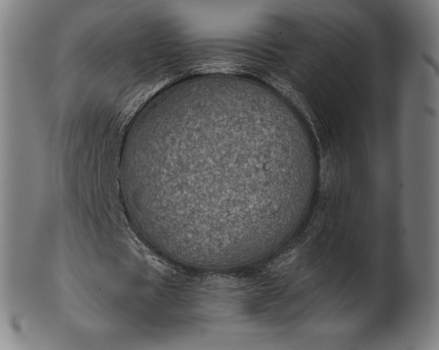 X0000101190529200807110947