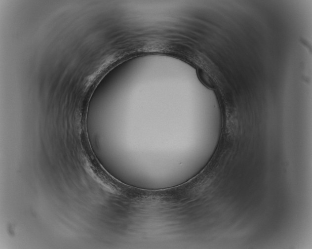 X0000101190530200807110947