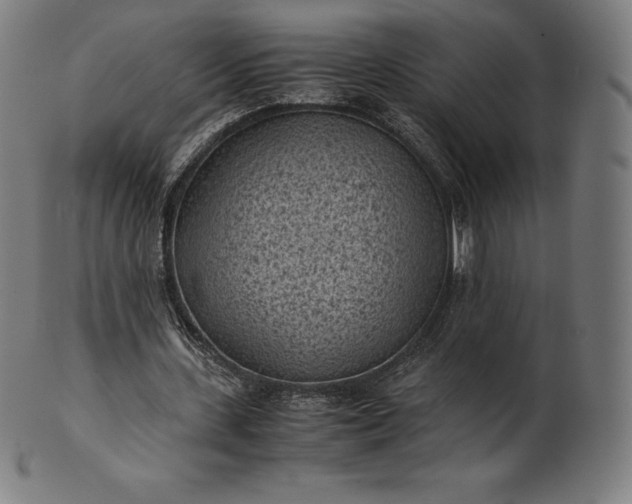 X0000101190531200807110947