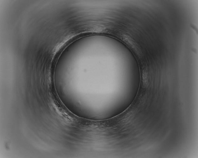 X0000101190532200807110947
