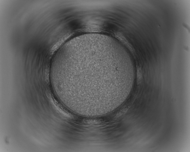 X0000101190533200807110947
