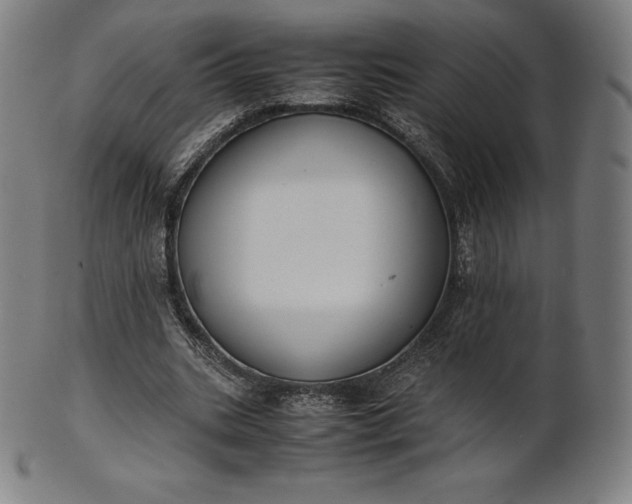 X0000101190535200807110947